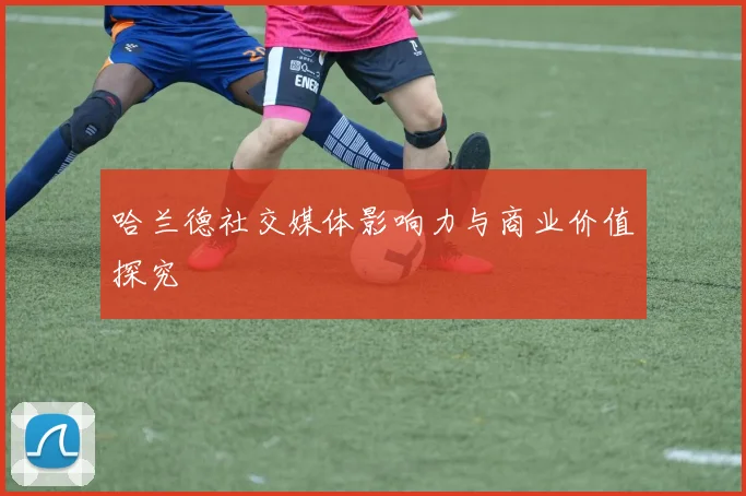 哈兰德社交媒体影响力与商业价值探究