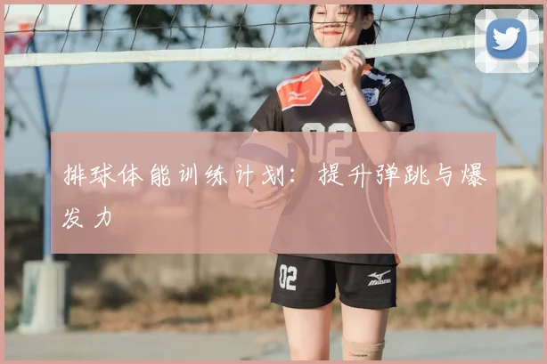排球体能训练计划：提升弹跳与爆发力